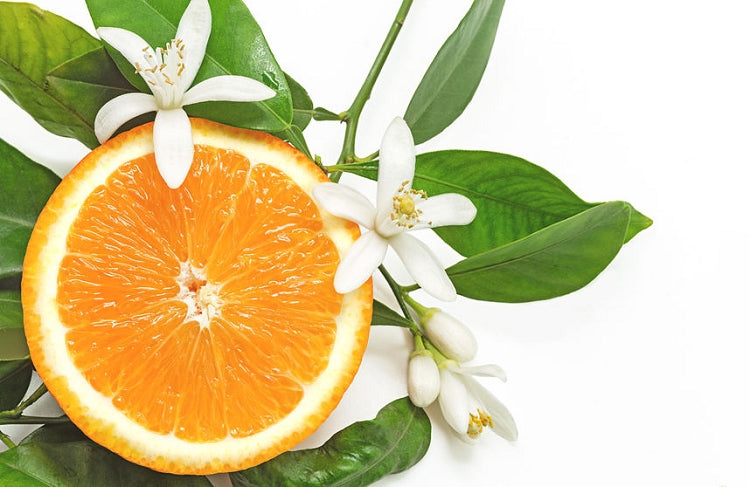 Citrus Blossom